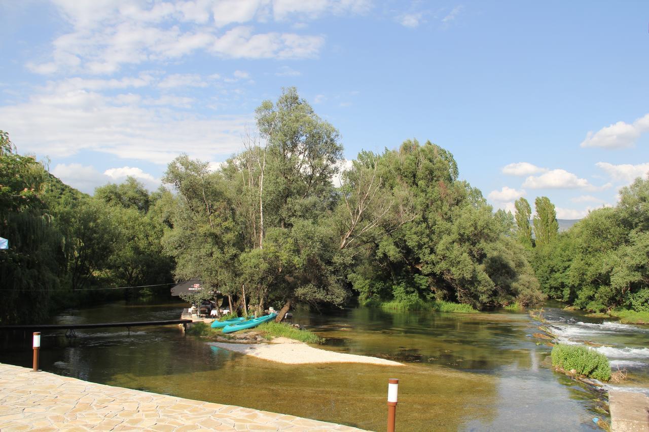 Motel Kolo 3*