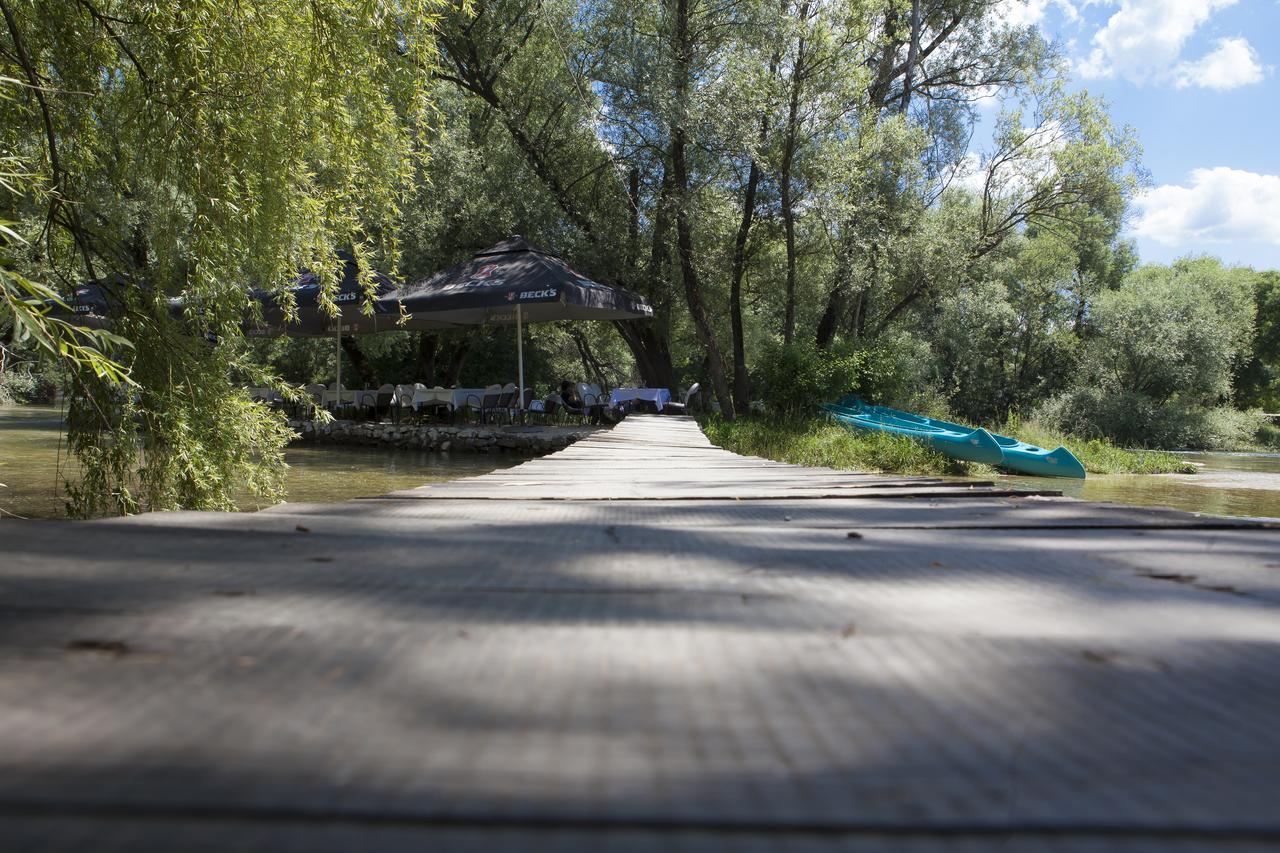 Motel Kolo 3*
